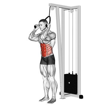 Cable Exercises For Back, T Bar Workout, Abs Cable Workout, Cable Crunch Workout, Cable Abs Workout, Abs Cable Machine, Kneeling Cable Crunch, Cable Crunches Standing, Starfish Crunch Ab Exercises