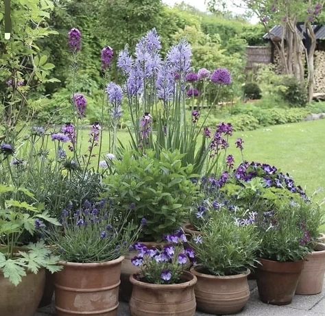 Garden Containers, Small Garden Design, Courtyard Garden, Garden Lovers, Garden Cottage, Small Gardens, Garden Spaces, Front Garden, Dream Garden