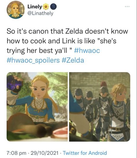 Link X Zelda, Link Funny, Princesa Zelda, Legend Of Zelda Memes, Botw Zelda, Zelda Funny, Zelda Botw, Hyrule Warriors, Still Single