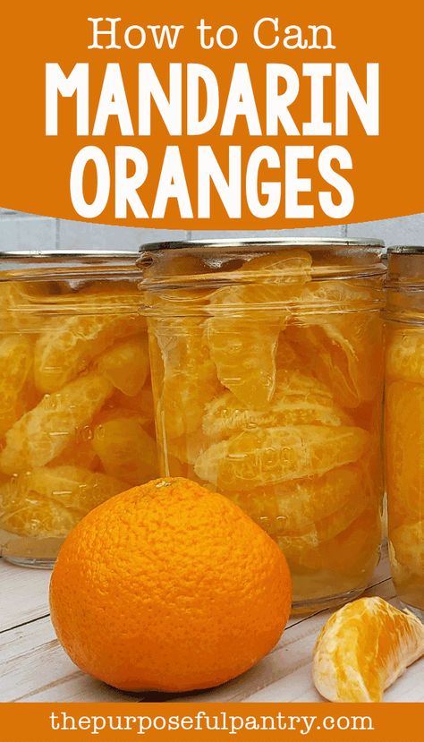 Canning Clementines, Can Mandarin Oranges, Canning Mandarins, How To Preserve Mandarin Oranges, Canning Mandarin Oranges, Mandarins Recipes, Manderine Orange Recipe, Canning Oranges, Mandarin Oranges