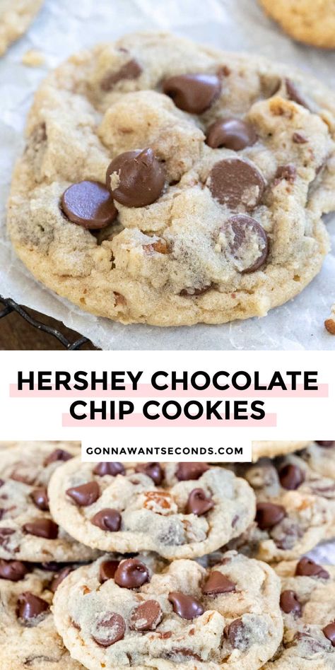 Hershey Chocolate Chip Cookies Hersey Chocolate Chip Cookies, Hershey’s Chocolate Chip Cookies, Hershey Cookie Recipes, Hersheys Chocolate Chip Cookies Recipe, Hersheys Chocolate Chip Cookies, Hersheys Chocolate Cookies, Cholate Chip Cookies, Hershey Chocolate Chip Cookies, Bisquick Chocolate Chip Cookies