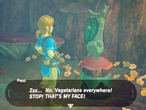 Zelda Korok, Botw Zelda, Legend Of Zelda Memes, Zelda Funny, Little Misfortune, Disney 2024, Link Zelda, Zelda Art, Zelda Breath