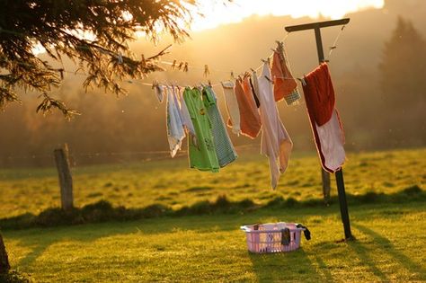 Clothes Hanging, Down On The Farm, Country Farm, The Grass, Clothes Line, Simple Living, Simple Life, The Farm, Country Life