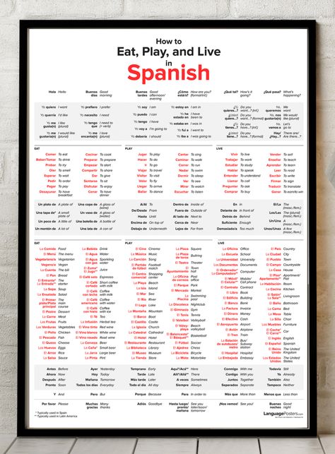 Verbs Poster, Useful Spanish Phrases, Spanish Sentences, Spanish Posters, Learning Spanish Vocabulary, Spanish Verbs, Spanish Speaking Countries, Spanish Phrases, English Verbs