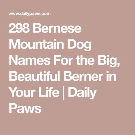 298 Bernese Mountain Dog Names For the Big, Beautiful Berner in Your Life | Daily Paws Great Bernese, Bernese Mountain Dog Names, Burnese Mountain Dog, Bernese Puppy, Boy Dog Names, Bernese Dog, Best Dog Names, Female Dog Names, Bernese Mountain Dog Puppy