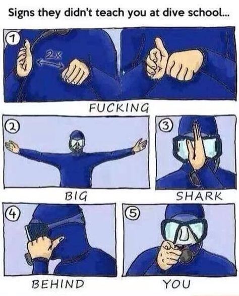 When scuba diving .. @asubia_09 Morbider Humor, Wojskowy Humor, Scuba Diving Quotes, Diving Quotes, Sign Language Words, Learn Sign Language, Scuba Gear, Memes Humor, E Card