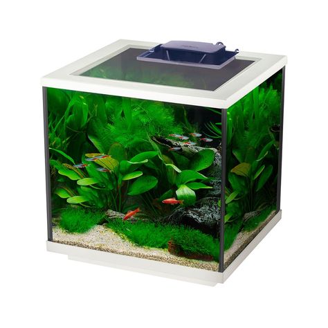 Interpet Aqua Cube Glass Fish Tank Aquarium with Integrated LED Lighting and Easy Care Filter, 28L, Clear/White : Amazon.co.uk: Pet Supplies Small Heater, Glass Fish Tanks, Aquarium Heater, Led Aquarium, Glass Aquarium, Tropical Aquarium, Aquarium Accessories, Small Tank, Tanked Aquariums