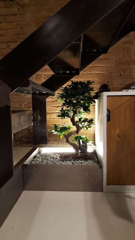 Vano scala – Enrico Ballani Sottoscala Ideas, Under Stairs Garden, Plants Under Stairs, Toilet Under Stairs, Dog House Under Stairs, Decor Under Stairs, Kitchen Living Room Divider, Under Staircase Ideas, Living Room Under Stairs