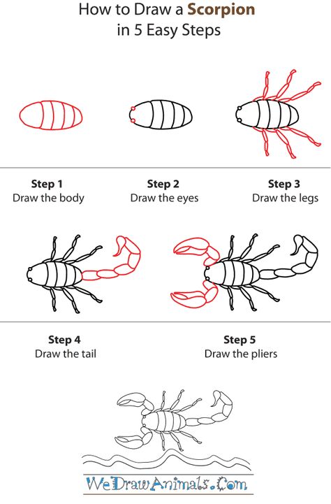 Scorpion directed draw for our Desert Habitat unit Scorpion Drawing, Desert Habitat, Drawing Worksheets, Toddler Drawing, Drawing Lessons For Kids, Directed Drawing, Desert Art, Drawing Tutorial Easy, Body Drawing