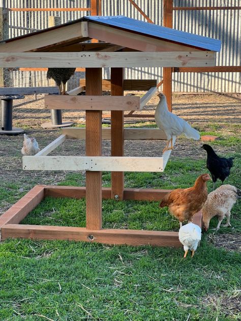 Chicken Coop Chain Link Fence, Meat Birds Coop, Chicken Food Shelter, Chicken Hideouts, Indoor Chicken Cage, Homestead Chicken Coop, Chicken Fence Ideas Diy, Shade For Chickens, Diy Homestead Projects