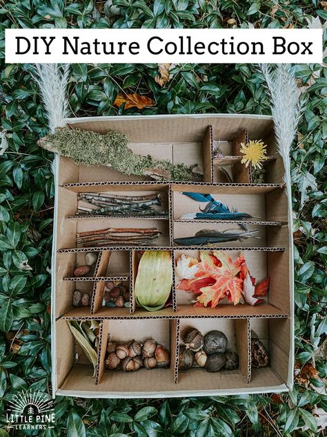 Nature Weaving, Nature Display, Cardboard Ideas, Leaf Lantern, Diy Nature, Nature Collage, Nature Projects, Nature School, Theme Nature