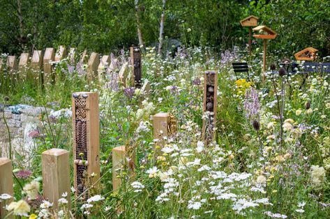 Wildlife Garden Design, Hampton Court Flower Show, Eco Garden, Bug Hotel, Insect Hotel, Garden Designer, Bee Garden, Wildlife Gardening, School Garden