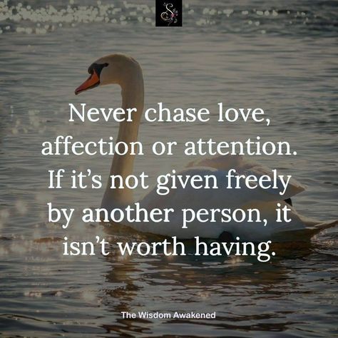 "Never chase love, affection, or attention. If it isn't given freely by another person, then it isn't worth having." Getting Attention From Someone Else, Quotes About Chasing Someone, Chasing Quotes, You And Me Quotes, Jon Gordon, Word For The Year, Creating Boundaries, Love Affection, Quotes Positivity