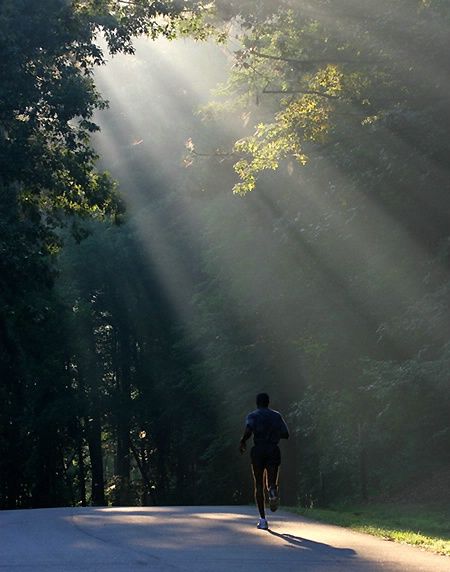 outdoor run :) Running Books, Best Running Gear, Running Photography, Running Photos, Half Marathon Training Plan, Marathon Training Plan, Endurance Workout, Running Inspiration, Qi Gong