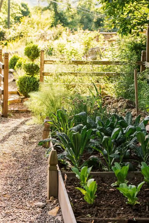 raised garden bed inspiration | better homes & gardens Simple Raised Beds, Garden Bed Inspiration, Raised Garden Bed Ideas, Bed Inspiration, Garden Bed Ideas, Bed Simple, Grow Food, Diy Raised Garden, Gardening Trends