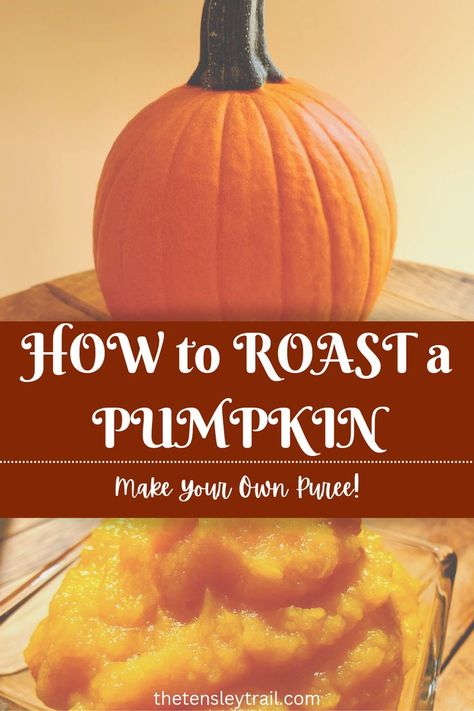 How To Roast A Pumpkin In The Oven, Roasting A Pumpkin, Roast Whole Pumpkin, Cinderella Pumpkin, How To Roast, Roasted Pumpkin, Sugar Pumpkin, Roast Pumpkin, Small Pumpkins