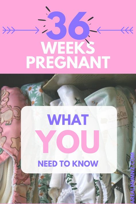 36 weeks pregnant. What size is the baby at 36 weeks pregnant? What symptoms do you have at 36 weeks pregnant? Things to know about 36 weeks. 36 Weeks Pregnant Symptoms, 2 Weeks Pregnant, Bump Pics, 5 Weeks Pregnant, 36 Weeks Pregnant, 36 Weeks, Baby Kicking, Weeks Pregnant, Baby Coming