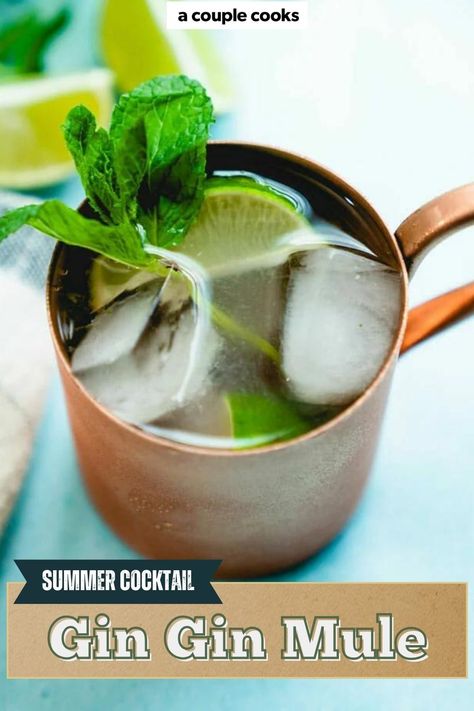 The refreshing Gin Gin Mule cocktail is a modern classic! It's essentially a mashup of a bubbly Moscow mule and a minty Mojito. #ginmule #ginginmule #cocktail #cocktails #cocktailrecipe #moscowmule Cold Dip Recipes, Best Fish Recipes, Winter Salad Recipes, Mule Cocktail, Gluten Free Appetizers, Vegan Salad Recipes, Best Vegetarian Recipes, Cold Appetizers, Best Gluten Free Recipes