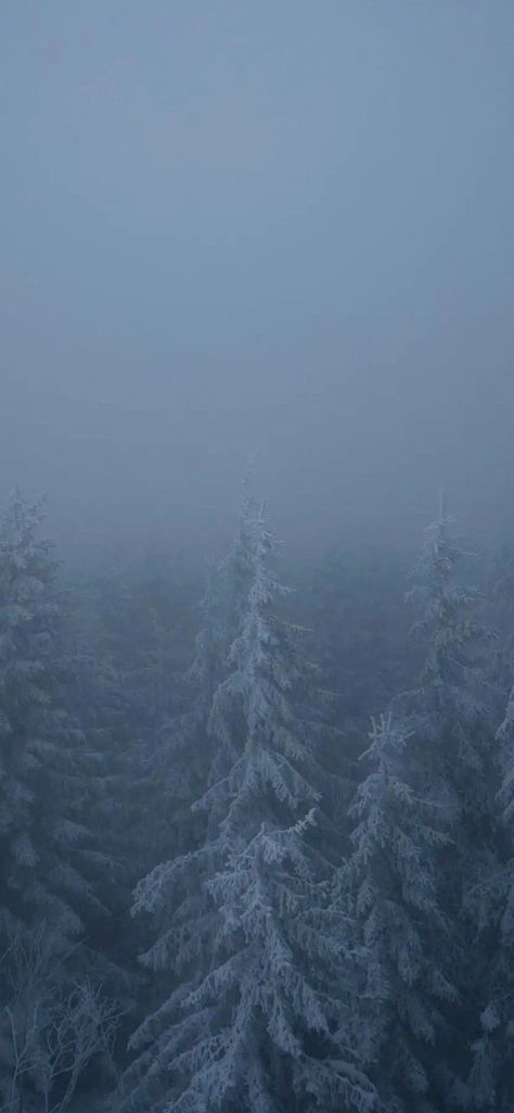 Screensaver Iphone Aesthetic Dark, Snowstorm Wallpaper, Bleak Wallpaper, January Background Wallpapers Aesthetic, Snow Lockscreen, Winter Phone Wallpaper Aesthetic, Simple Winter Wallpaper, Snow Aesthetic Wallpaper, Neat Wallpapers