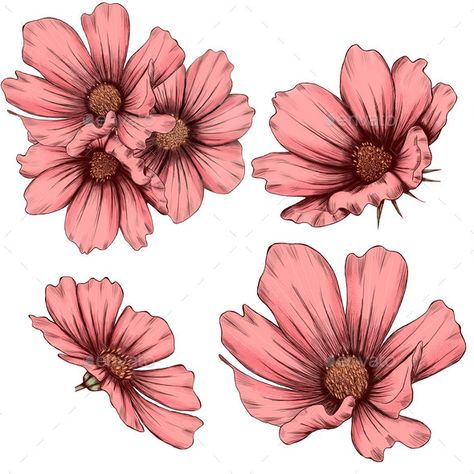 Lovely Pink Cosmos Flowers Illustration, Wedding Pink Cosmos Flowers, Flowers Cosmos, Illustration Wedding Invitation, Cosmos Tattoo, Quality Drawing, Pink Cosmos, Illustration Wedding, Cosmos Flowers, Flowers Illustration