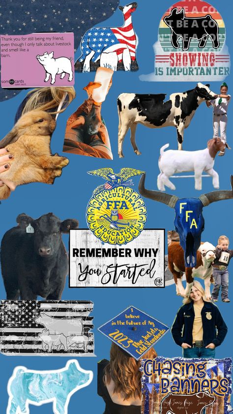 #livestock #ffa #cattleshows #goatshowing #pigshows #ffagirlie #wallpapers #livestockshow Ffa Wallpaper, Livestock Aesthetic, Ffa Aesthetic, Ffa Scrapbook Ideas, Ffa Scrapbook, Cute Car Seat Covers, Ag Teacher, Western Wallpaper, Cowgirl Stuff