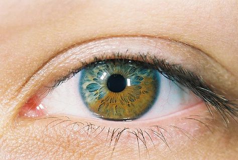 Eye | Iris | Pupil | 目 | œil | глаз | Occhio | Ojo | Color | Texture | Pattern | Macro | Green and Brown by lindes, via Flickr Sectoral Heterochromia, Heterochromia Eyes, Eyes Health, Eyes Quotes, Multi Colored Eyes, Iris Eye, Eye Drawings, Rare Eyes, Realistic Eye Drawing