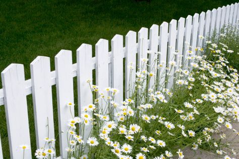 White Garden Fence, Small Garden Fence, Metal Garden Fencing, Diy Garden Fence, Rustic Fence, White Fence, Diy Fence, Front Yard Fence, Backyard Pergola