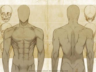 +MALE ANATOMY: FRONT + BACK STUDY+ by jinx-star Back Drawing, Man Anatomy, Male Figure Drawing, Human Figure Drawing, Anatomy Sketches, Male Anatomy, Body Reference Drawing, Anatomy References, Anatomy Drawing