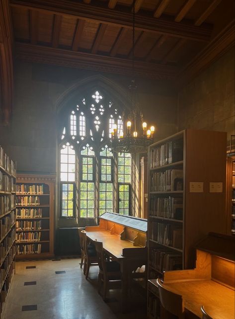 Academia Aesthetic Library, Academia Library, Dark Academia Library, Toronto Library, Aesthetic Library, Toronto Girls, Aesthetic Study, Library Aesthetic, College Aesthetic