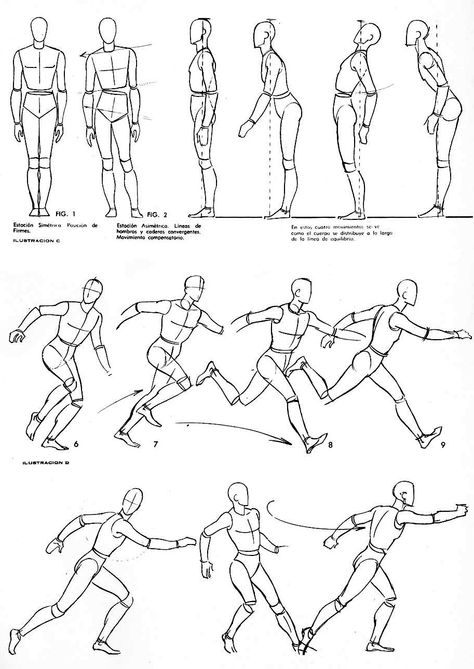 Posture Study Drawing, Drawing Moving Figures, Movement Figure Drawing Sketch, Human Movement Drawing, Body Movements Drawing, Human Movement Sketch, Running Poses Drawing Reference, How To Draw Movement, Running Reference Drawing