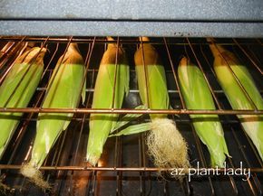 Oven Roasted Corn on the Cob Recipe from Tyler Florence   Preheat your oven to 350 degrees. Take whole ears of corn, with the husks still on and put them directly on your oven rack. Oven Roasted Corn, Cook Corn, Baked Corn, Corn Husk, Roasted Corn, Corn Recipes, Corn On The Cob, Side Recipes, Oven Roast