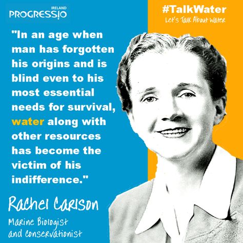 Remembering Rachel Carlson, the Mother of environmental movement, on Earth Day  #earthday Rachel Carlson, Ocean Ideas, Environmental Movement, Marine Biologist, Say That Again, Inspiring People, Forget Him, Future Career, Inspirational People