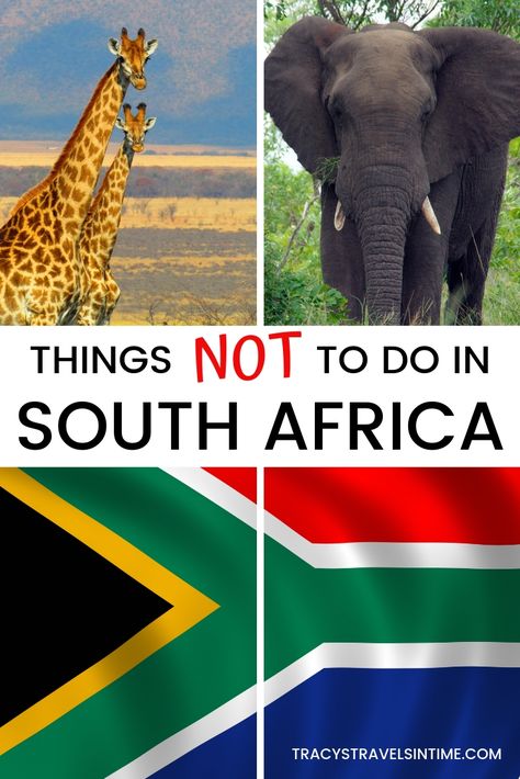 South Africa Bucket List, Cape Town Itinerary, South Africa Itinerary, Africa Bucket List, South Africa Vacation, Africa Itinerary, Africa Vacation, Chobe National Park, Visit South Africa