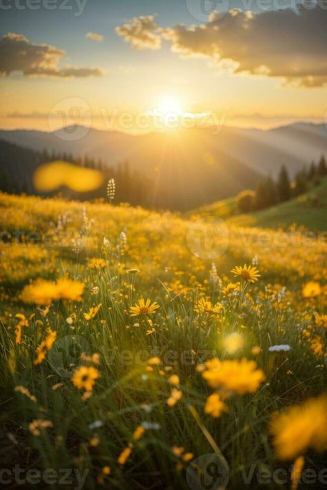 Beautiful sunrise in the mountain, Meadow landscape refreshment with sunray and golden bokeh.. AI generated Sunrise From Mountain, 2025 Manifestation, Meadow Landscape, Mountain Meadow, Golden Sunrise, Sunrise Mountain, Mountain Sunrise, Vector Infographic, Infographic Template