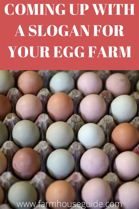 A slogan is, of course, different from your name. It’s like Kentucky Fried Chicken. Everyone knows they are “Finger Lickin Good”. Finding a slogan for your egg farm may seem hard but these tips will help you get started Farming Slogans, Egg Names, Selling Eggs, Egg Farm, Kentucky Fried Chicken, Raising Ducks, Duck And Ducklings, Chicken Owner, Kentucky Fried