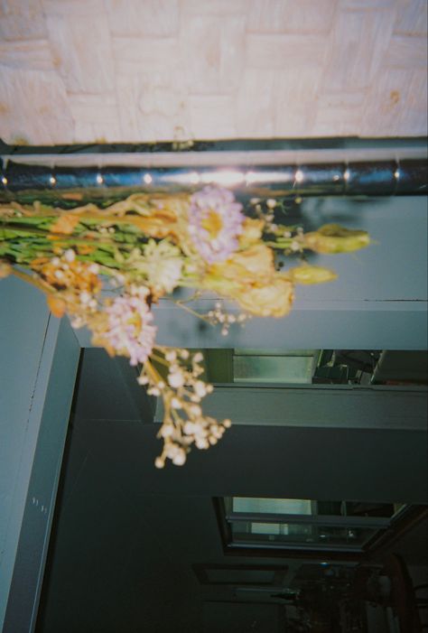 Grain Photos Aesthetic, Film Grain Aesthetic, Film Background Aesthetic, Clone Wars Fives, Spiritual Website, Flower Film, Boho Website, Pfp And Wallpaper, Expired Film