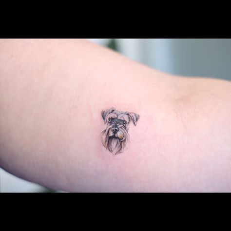 Mini Schnauzer Tattoo, Miniature Schnauzer Tattoo, Schnauzer Tattoo, Vibrant Tattoos, Color Tattoos, Butterfly Tattoos, Mini Schnauzer, Tattoo Outline, Dog Tattoo