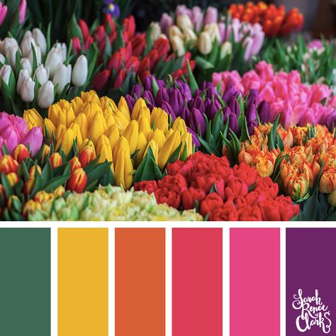 // Explore the beautiful colors of nature with these 25 color palettes inspired by flowers, bouquets and gardens. Check out these 25 color palettes inspired by flowers, gardens and nature at www.sarahrenaeclark.com #colorpalette #colorscheme #colorcombo Palettes Color, Colorful Tulips, Color Pantone, Pantone Colour Palettes, Colors Of Nature, Color Catalog, Color Schemes Colour Palettes, Color Palette Bright, Bold Color Palette