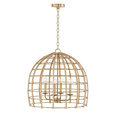 Wren 4-Light Pendant | Capital Lighting Fixture Company Capital Lighting Fixture, Track Lighting Pendants, Contemporary Fan, Outdoor Chandeliers, Capital Lighting, Multi Light Pendant, Mini Chandelier, Candelabra Bulbs, Pendant Chandelier