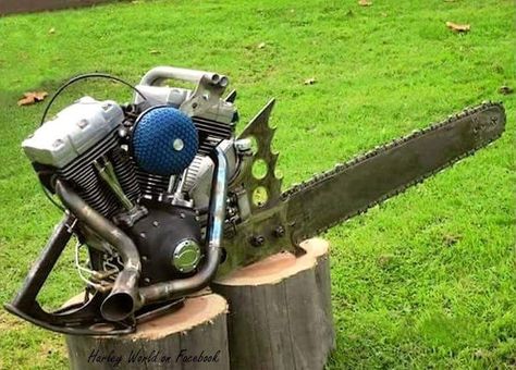 Chainsaw Repair, Motorcycle Art Painting, Logging Industry, Custom Motorcycles Harley, Rat Look, Logging Equipment, Cycling City, Mechanic Humor, Biker Quotes