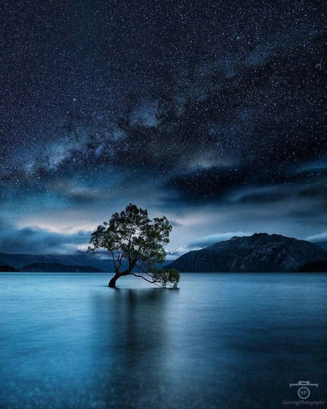 Biblical Paintings, Lake Wanaka, Lone Tree, Tree Photography, Unique Trees, Destination Voyage, Photo Tree, Beautiful Nature Wallpaper, Beautiful Sky