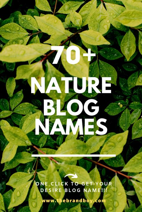 Here are Catchy and Good Nature blog names ideas for you Magazine Name Ideas, Cool Names For Instagram, Names For Companies, Names Nature, Blog Name Ideas, Creative Instagram Names, Youtube Channel Name Ideas, Free Business Logo, Usernames For Instagram