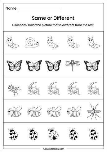 Free Pre K Worksheets, Preschool Matching Worksheets, Insects Worksheets Preschool, Free Pre K Printable Worksheets, Insects Worksheets For Kids, Insect Worksheets Preschool, Free Kindergarten Worksheets Printable, Same Different Worksheet, Same And Different Preschool