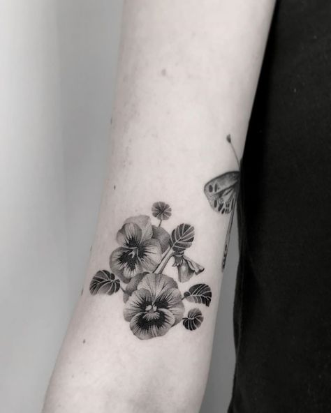 Pansie Tattoo Black And White, Embroidery Tattoo Black And White, Wild Violets Tattoo, Begonia Tattoo Black And White, Pansies Tattoo Black And White, Pansy Flower Tattoo Black And White, Violet Tattoo Flower Black And White, African Violet Tattoo Black And White, Violet Flower Tattoo Black And White