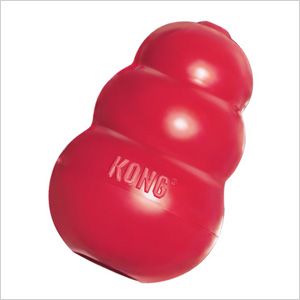 Top toys to train your pup Kong Treats, Welsh Corgi Pembroke, Kong Dog Toys, Kong Toys, Dog Red, Toy Puppies, Dog Chew Toys, Springer Spaniel, Doberman Pinscher