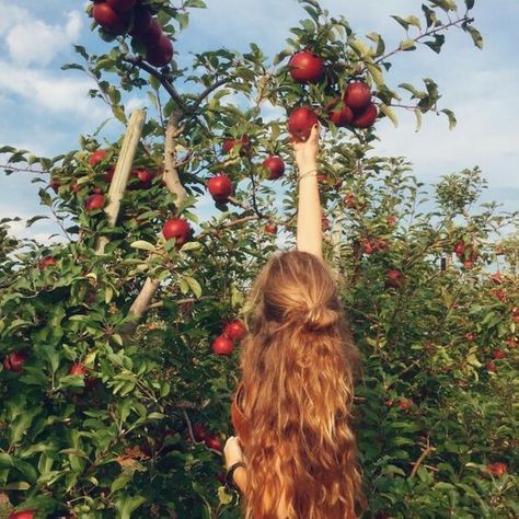 Idunn - keeper of apples and grantee of eternal youth Oh My Goddess, Anne Of Green, Apple Picking, + Core + Aesthetic, Anne Of Green Gables, Green Gables, Apple Tree, Apples, A Girl