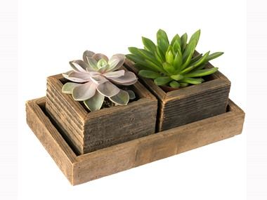 Wood Succulent Planter, Wooden Plant Pots, Flower Bulb, Wood Planter, Plant Box, Wood Plant Stand, Tea Light Candle Holder, Scrap Wood Projects, Wooden Planters