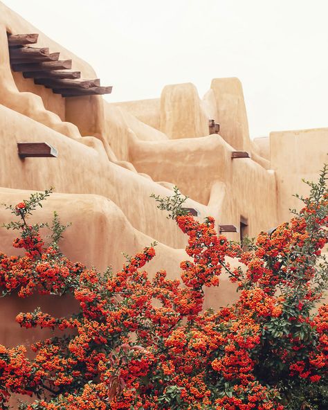 The organic, sculptural form of a Pueblo-Revival style adobe building in Santa Fe, New Mexico, with red-orange pyracantha berries in the foreground. New Mexico Aesthetic, Pueblo Revival, New Mexico Style, New Mexico Santa Fe, Adobe Home, Artfully Walls, Living On The Road, Santa Fe Style, Artist Wall