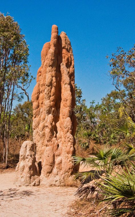 Termite mounds. In northern territory, australia #Sponsored , #AD, #AD, #mounds, #territory, #northern, #Termite Litchfield National Park, Northern Territory Australia, Australia Photos, Australian Photographers, Photo Greeting Cards, Northern Territory, Australia Travel, Photographic Prints, Photo Frame