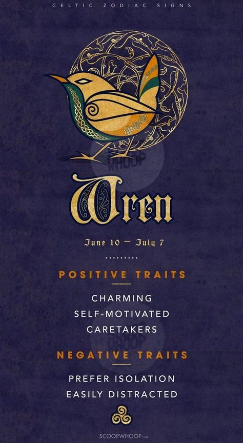 Celtic Zodiac Signs - Wren (Jun 10 to Jul 7) Celtic Zodiac Signs, Friendship Symbol Tattoos, Animal Totem Spirit Guides, Celtic Signs, Native American Zodiac, New Beginning Tattoo, Celtic Zodiac, Celtic Animals, Animal Meanings